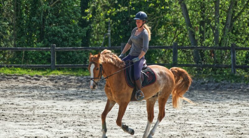 Tipps zur effektiven Kommunikation mit Ihrem Pferd: Wie Sie eine starke Verbindung aufbauen können