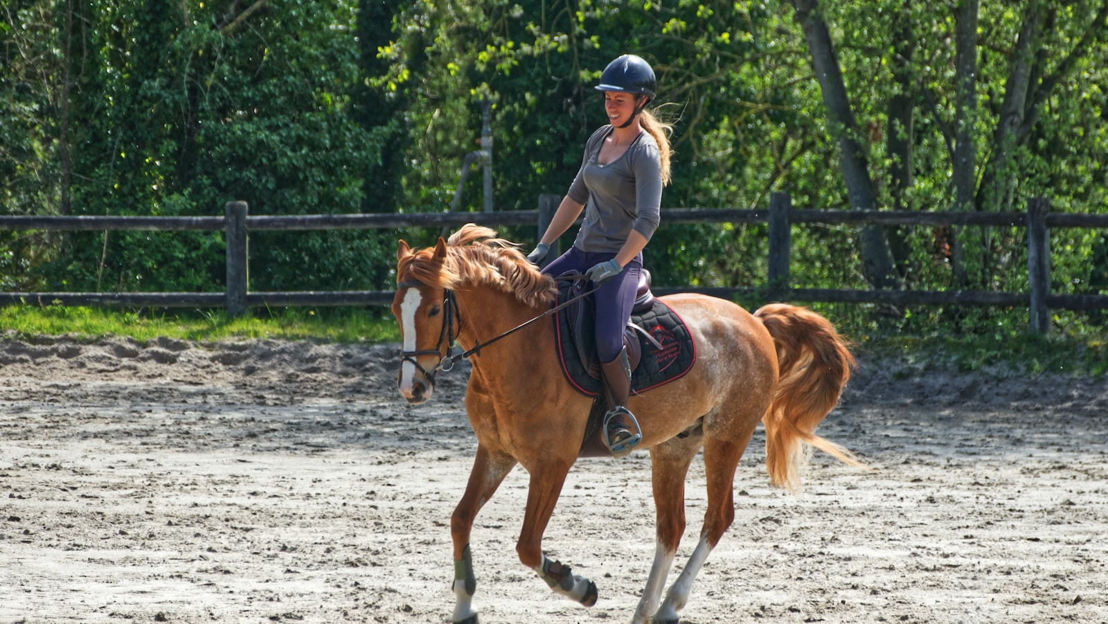 Tipps zur effektiven Kommunikation mit Ihrem Pferd: Wie Sie eine starke Verbindung aufbauen können