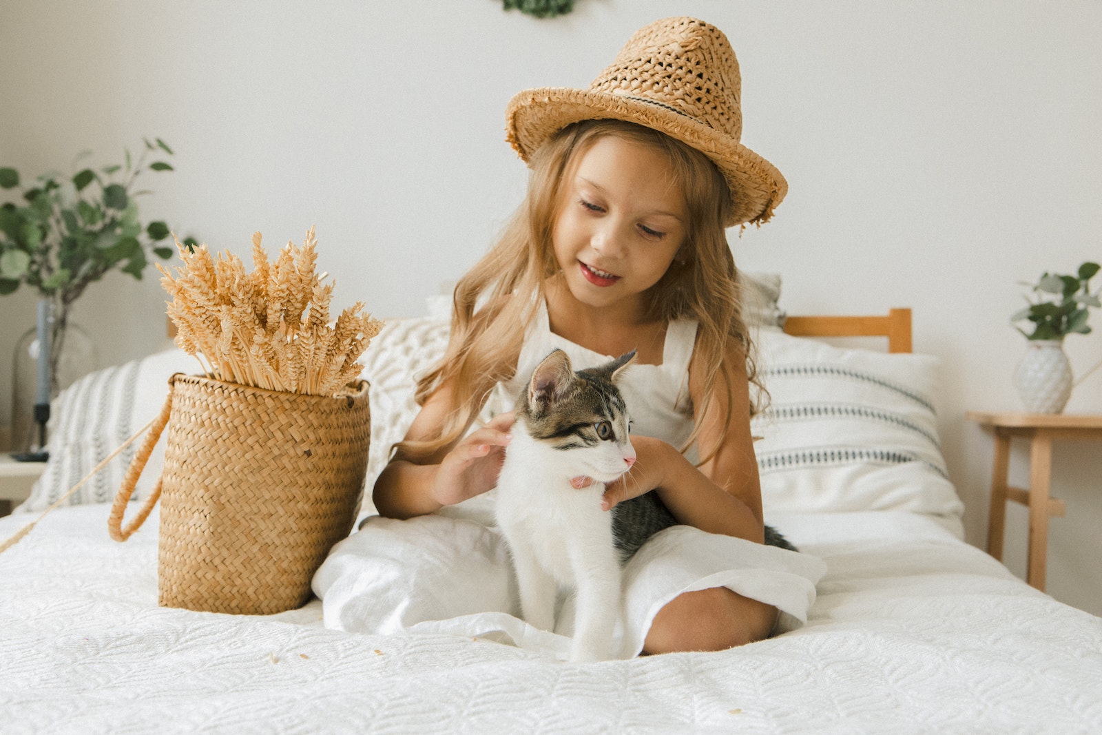 Katzen und Kinder: Spielen, Lernen und Zusammenleben