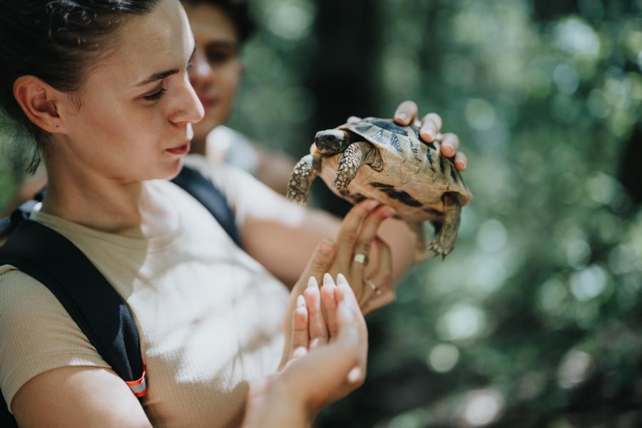 Schildkröte in der Hand einer Frau sorgt für Begeisterung