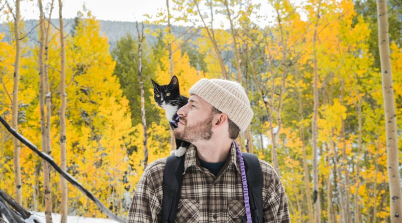 Abenteuerlustige Katzen: Erlebe die besten Outdoor-Aktivitäten mit deinem pelzigen Freund!